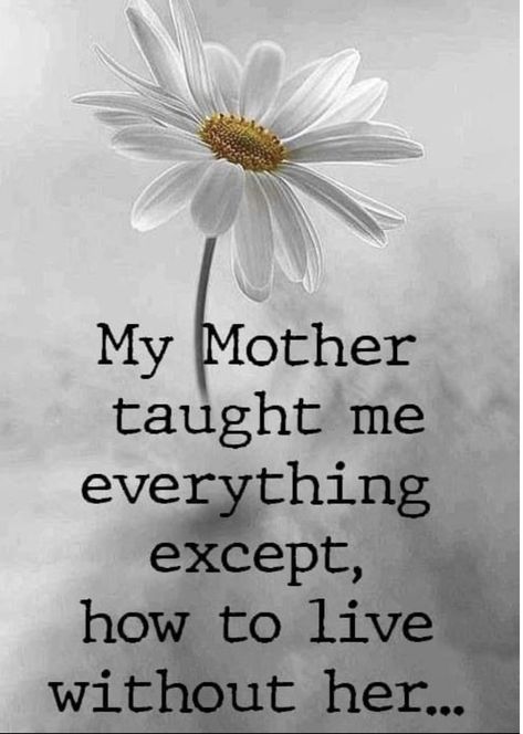 Mother Love Quotes, Miss My Mom Quotes, Mom In Heaven Quotes, Missing My Mom, My Mom Quotes, Miss You Mom Quotes, My Mother Taught Me, Mom I Miss You, Love Of A Mother