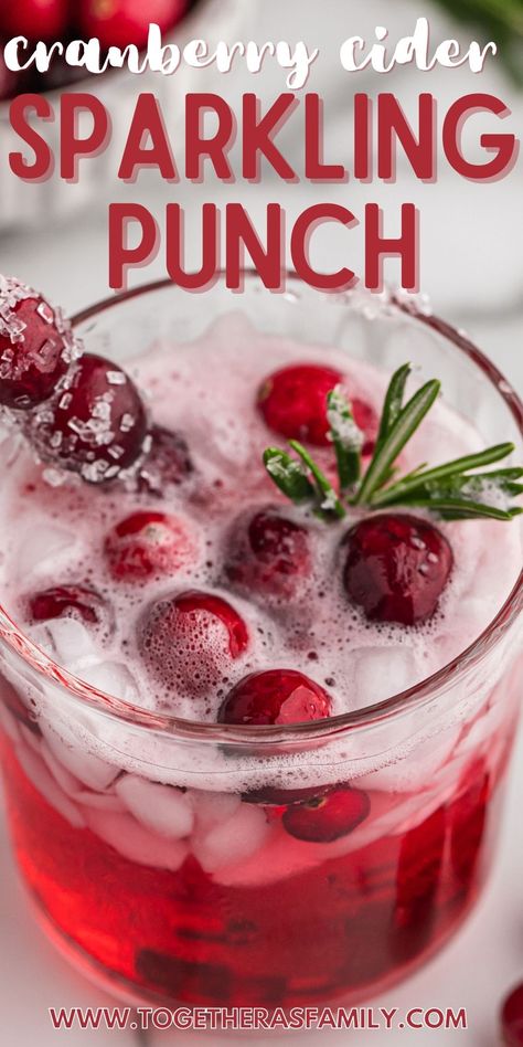 Sparkling Cranberry Apple Cider Punch, Apple Cider With Cranberry Juice, Cranberry Christmas Punch Non Alcoholic, Sparkling Berry Punch, Punch With Cranberry Ginger Ale, Cranberry Sprite Punch, Sparkling Juice Non Alcoholic, Sparkling Cider Mocktail Non Alcoholic, Sparkling Punch Non Alcoholic