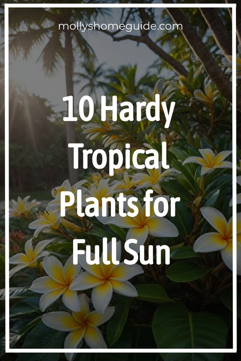 Discover a vibrant array of tropical landscape plants perfect for full sun settings! From lush green palms to striking red species, explore the best tropical plants to elevate your garden with a touch of paradise. Whether you're designing a suburban garden or seeking tropical landscape ideas, these exceptional plants are sure to add color and exotic flair to your outdoor space. Embrace the beauty and diversity of tropical flora as you select the perfect additions for your sunny sanctuary. Tropical Garden Design Full Sun, Tall Tropical Plants Outdoor, Full Sun Tropical Plants Landscapes, Tropical Planters Outdoor Full Sun, Outdoor Plants Full Sun, Full Sun Tropical Plants, Tropical Plants Outdoor Full Sun, Plants That Like Sun, Tropical Landscape Ideas