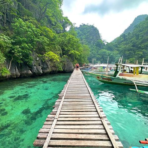 El Nido in Palawan philipines Filipijnen met een goals uitzicht licht water en brug waar je in een lake kon zwemmen en mooie boten zag El Nido Palawan Philippines, Philippines Palawan, Philippines Vacation, Palawan Philippines, Bohol, Clear Mind, Philippines Travel, Palawan, Future Life