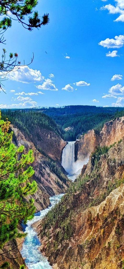 Grand Canyon Yellowstone, Grand Canyon Of The Yellowstone, National Park Yellowstone, Yellow Stone National Park Photography, Yellow Stone National Park Aesthetic, Yellowstone National Park Wallpaper, America National Parks, Yellowstone National Park Aesthetic, Grande Canyon