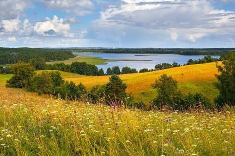 Simple Landscapes Photo, Countryside Landscape Photography, Landscape Reference Photos For Painting, Simple Landscape Reference, Vintage Landscape Photography, Landscape Reference Photos, Countryside Landscape, Landscape Photography Nature, Pretty Landscapes