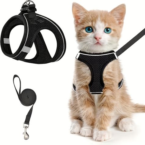 Faster shipping. Better service Harness For Cats, Cat Leash And Harness, Cute Cat Accessories, Kitten Stuff, Pet Gadgets, Kitten Harness, Cat Harness And Leash, Harness And Leash Set, Walking Harness