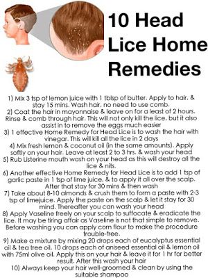 How To Remove Lice From Hair By Your Own | Caraway Seeds Health Benefits Lice Remedies, Window Cleaning Tips, Clean Toilet, Lice Removal, Clean Baking Pans, Cleaning Painted Walls, Head Louse, Deep Cleaning Tips, Caraway Seeds