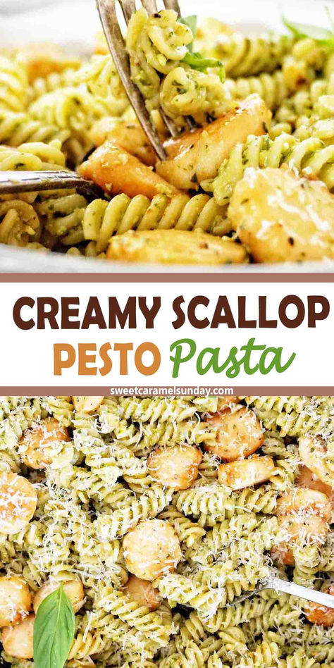 Fork being twirled in scallop pasta with text written between 2 images. Seafood Pesto Pasta Recipes, Scallop Pesto Pasta, Pasta With Scallops Recipes, Pesto Pasta Bake, Shrimp Pesto Pasta, Scallop Pasta, Creamy Pesto Pasta, Cream Pasta, Pesto Pasta Recipes