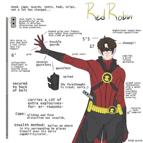 Robin Suit, Gotham Comics, Bat Facts, Superhero Pictures, Tim Drake Red Robin, Robin Costume, Batfamily Funny, Univers Dc, Red Robin