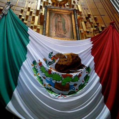 Mi Bandera Mexico Wallpaper, Hispanic Aesthetic, Mexican Culture Art, Brown Pride, Mexican Heritage, Mexico Culture, Jesus And Mary Pictures, Godly Relationship, Mexican American