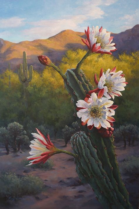 Cactus With Flowers, Painting Cactus, Cactus Paintings, نباتات منزلية, Blooming Cactus, Cactus Painting, Desert Flowers, Desert Art, Desert Painting