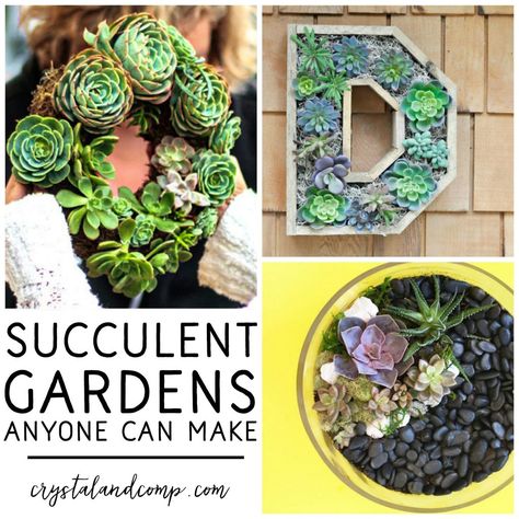 succulent gardens anyone can make Succulent Garden Ideas, Succulent Garden Outdoor, Mini Succulent Garden, Vertical Succulent Gardens, Succulent Garden Design, Succulent Gardens, Succulent Garden Diy, Dish Garden, Succulent Gardening