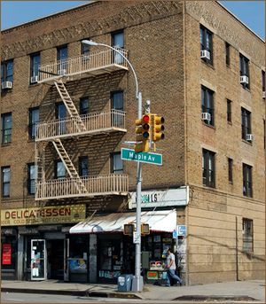 Maple Avenue Apartments — Flushing - Queens - NY Utopia Avenue Aesthetic, Queens Apartment New York, Queens Ny Aesthetic, Flushing Queens New York, Campus Drivers, Flushing New York, Flushing Queens, Brooklyn City, Office Mural