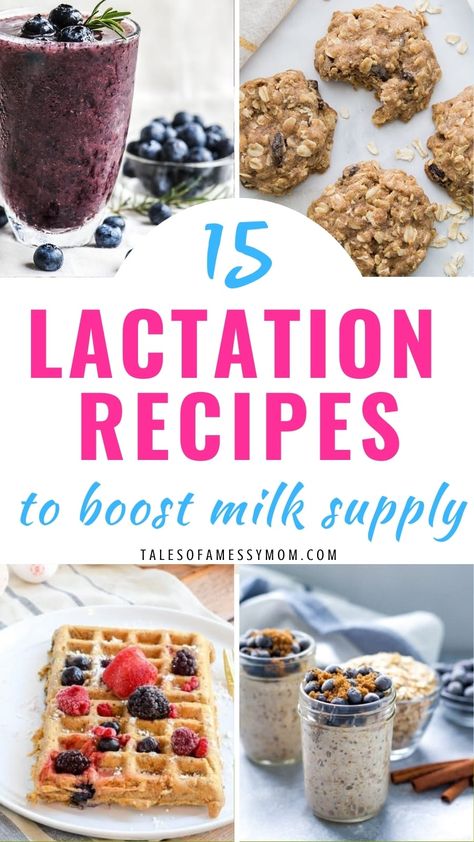 15 Lactation Recipes to Boost Breast Milk Supply - Tales of a Messy Mom Oatmeal Breastmilk Milk Supply, Mom Cozy Breast Pump Tips, Recipes To Increase Milk Supply, Cookies Balls, Lactation Treats, Milk Supply Foods, Postpartum Food, Postpartum Recipes, Breastfeeding Cookies