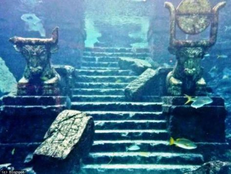 Nature Takes Back, Atlantis Aesthetic, Atlantis Art, Nightmare Of The Wolf, Ancient Atlantis, Underwater Ruins, Sunken Ships, Desert Sahara, Sunken City