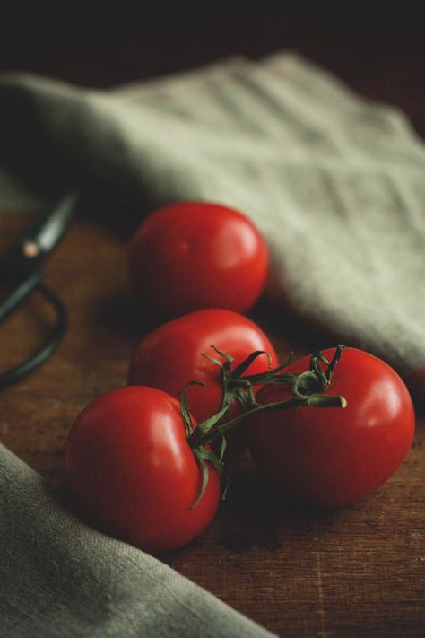 tomatoes. Tomato Photography, Tomato Gravy Recipe, Tomato Drawing, Tanaman Tomat, Tomato Cage Crafts, Tomato Paste Recipe, Tomato Bisque Soup, Tomato Mozzarella Basil, Tomato Pie Recipe