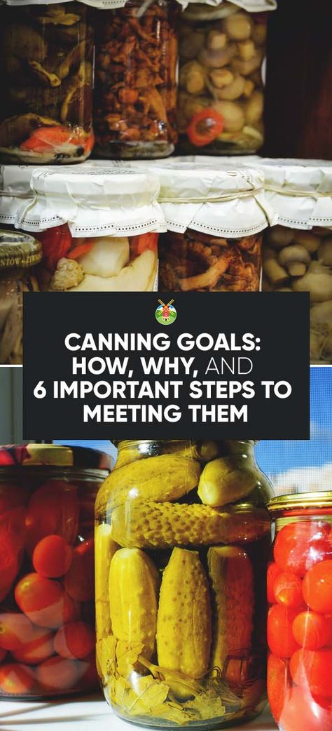 Canning Goals: How, Why, and 6 Important Steps to Meeting Them Oven Method For Canning, Canning In Oven, Oven Canning Recipes, Oven Canning Method, Canning Guide, Dry Canning, Preserving Recipes, Tomatoes Recipes, Oven Vegetables