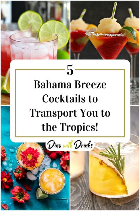 Collage of 4 bahama breeze cocktails. Coconut Martini, Coconut Mojito, Bahama Breeze, Pineapple Drinks, Coconut Drinks, Copykat Recipes, Rum Punch, Martini Recipes, Pineapple Coconut