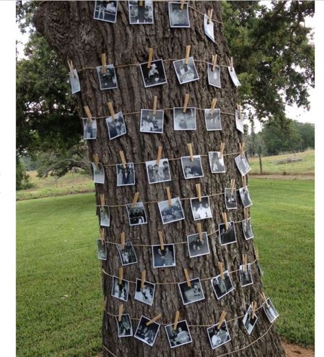 Create A Family Tree, Backyard Graduation Party, Outdoor Graduation Parties, Outdoor Graduation, Family Tree Photo, Senior Graduation Party, Graduation Open Houses, Graduation Party Planning, Family Reunion Planning