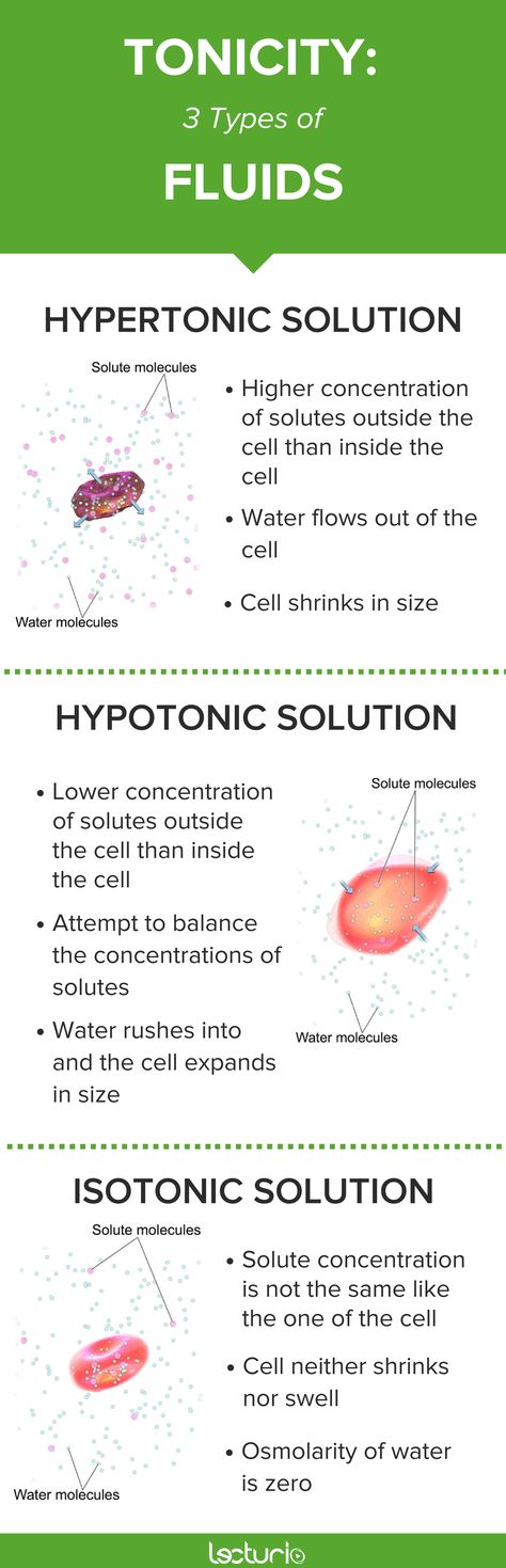 What's the difference between a hypertonic, isotonic, and a hypotonic solution? Get essential medical knowledge to master your medical exams perfectly! Click here to get more information like this! Isotonic Hypotonic Hypertonic, Associates Degree In Nursing, Intravenous Fluids, Science Printables, Medical Library, Iv Fluids, Nursing Mnemonics, Medical School Motivation, Medical Facts