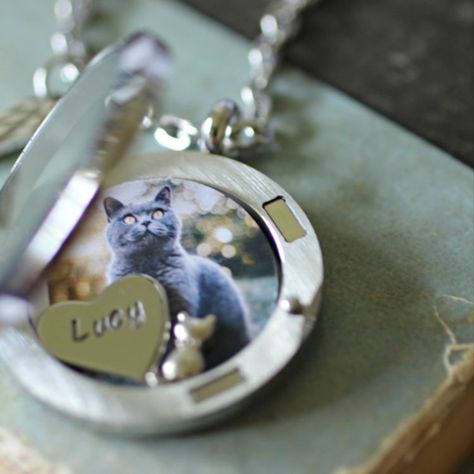 Sometimes when we lose a special companion, it feels like we've lost a big part of ourselves and are left with a huge emptiness that was once filled with the love we had for our beloved pet ♥ I've created this pet memorial necklace in particular, to help those who have lost a dear cat and would like to hold their cat fur inside the locket. Fur Necklace, Hair Locket, Hair Keepsake, Pet Memorial Necklace, Cat Loss, Necklace Cat, Pet Sympathy Gifts, Pet Memorial Jewelry, Picture Necklace