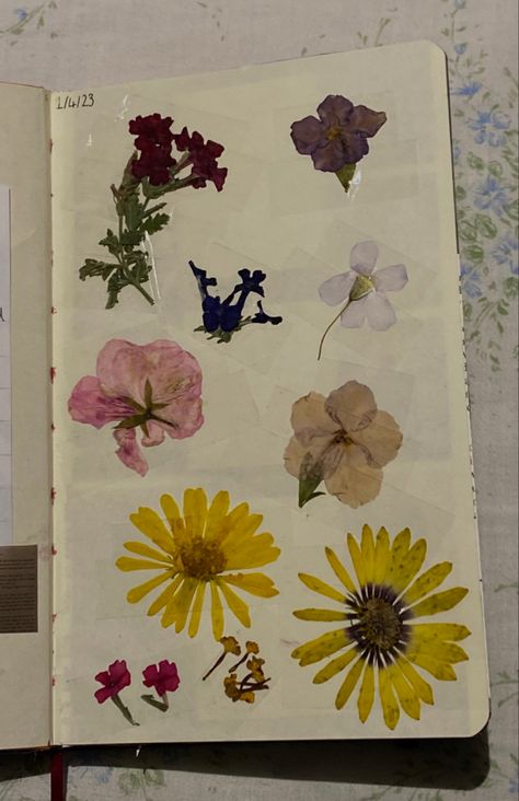 Pressed Flowers In Journal, Pressed Flowers Journal, Flower Journaling, Pressed Flower Journal, Junk Crafts, Preserve Flowers, Flower Journal, Floral Journal, Pressed Flower Art