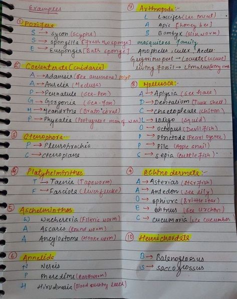 Neet Short Tricks, Biomolecules Notes Biology Class 11 Neet, Biomolecules Notes Biology Class 11, Locomotion And Movement Neet Notes, Biomolecules Notes Biology, Class 11 Biology Notes, Neet Aspirant, Biology Class 11, Medical Terminology Study