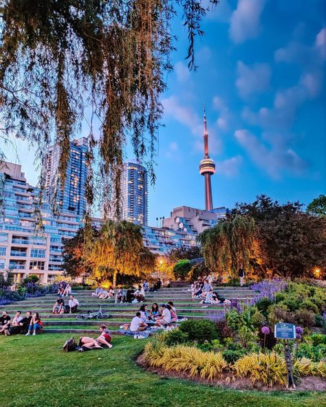 Toronto Music Garden, Things To Do In Toronto Canada, Toronto Parks, Toronto Aesthetic, Toronto Summer, Toronto Pictures, Travel 2025, Scarborough Bluffs, University Aesthetic