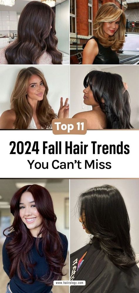 Curious about the top fall hair trends for 2024? My blog post covers 11 must-try looks that are perfect for the season. Find out which fall hair trends will suit your face shape, and explore the best fall hair colors that complement your skin tone. Whether you’re looking for a bold change or a subtle update, these trends will work for everyone. Ready to refresh your look this fall? Head to the blog now to explore these unmissable fall hair trends for 2024 Best Fall Hair Colors, Trending Haircuts For Women, 2024 Hair Trends, Hair Color Guide, Natural Hair Care Routine, Fall Hair Trends, Latest Hair Trends, Natural Gray Hair, Trends For 2024