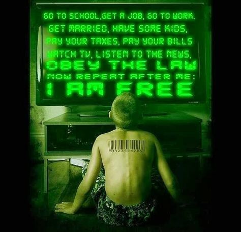 Go to School, Get a Job, Go to Work, Get Married, Have some Kids, Pay your taxes, Pay your Bills, Watch TV, Listen to the News, OBEY THE LAW... Now repeat after me: I AM FREE. I Am Free, Writing Inspiration, Writing Prompts, Wisdom Quotes, Matrix, A Man, Words Of Wisdom, Government, Funny Pictures