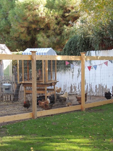 I like this idea for a tall deer-proof fence that doesn't obscure sight lines. Brava! Chicken Fence, Deer Proof, Deer Fence, Chicken Pen, Cheap Backyard, Keeping Chickens, Chicken Runs, Backyard Farming, Dog Fence