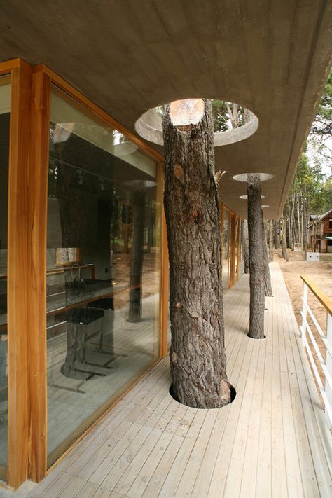 Modern Concrete House, Concrete Formwork, Amazing Trees, Set Meja Makan, Forest View, Concrete House, Seaside Resort, Forest House, Design Visual