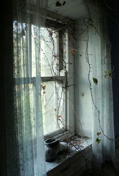 Orphanage Aesthetic, Creepy Houses, Old Room, Window View, Aesthetic Wall, Soul Art, Through The Window, Dark Photography, Abandoned Buildings