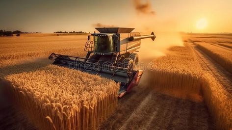 Combine harvester harvesting wheat field AI generated image royalty free stock photo Harvesting Wheat, Easy Loans, Combine Harvester, Wheat Field, Wheat Fields, Farm Equipment, Loans, Ottawa, Agriculture