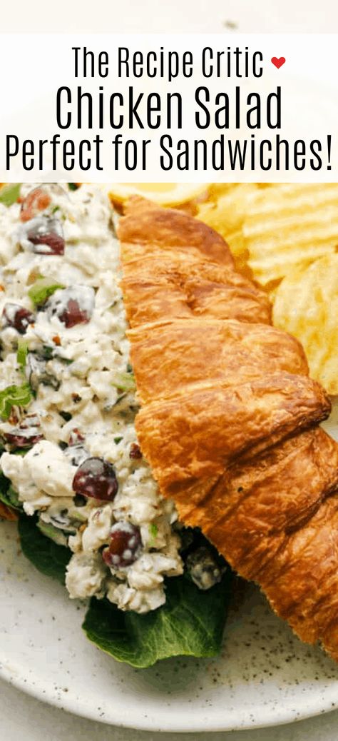 This is the Best Chicken Salad EVER! Perfect for summer picnics, festive lunches and anytime in between! Awesome Sandwiches, Homemade Mayo Recipe, Tasteful Recipes, Best Chicken Salad Recipe, Cranberry Chicken Salad, Heavenly Recipes, Summer Chicken, Chicken Salad Recipe Easy, Easy Chicken Salad