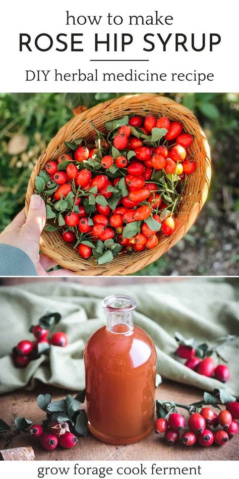 Rosehip Recipes, Herbal Medicine Recipes, Wild Food Foraging, Herbal Remedies Recipes, Foraging Recipes, Medicinal Herbs Garden, How To Make Rose, Medical Herbs, Foraged Food