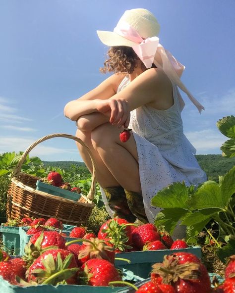 #farm#farmlife#cottagecore#cottagecoreaesthetic#summeraesthetic#countryside#countrysideliving#countrysidelivingaesthetic#strawberry#strawberrypicking#summer#girl#summerhat#harvest#garden#gardening#ootd#outfit#outfitinspiration#outfitideas#dress#aesthetic Strawberry Picking Photography, Strawberry Picking Pictures, Strawberry Picking Outfit, Cottage Core Girl, Harvest Garden, Strawberry Farm, Strawberry Summer, Strawberry Picking, Farmer Wife