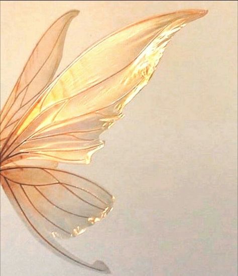 Fairy Wings, On Twitter, Orange, Twitter, White