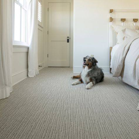 Pet Friendly Carpet, Carpet Smell, Affordable Carpet, Neutral Carpet, Carpet Trends, Nylon Carpet, Plush Carpet, Carpet Installation, 6x9 Area Rugs