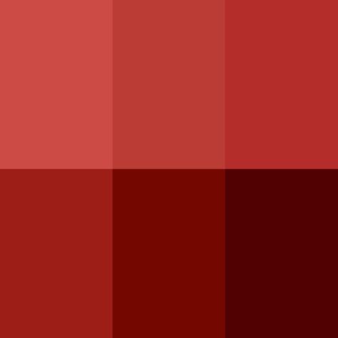 red wine Pantone Pantone Red, Pantone Palette, Pantone Colors, Red Room, Red Rooms, Mood Board Inspiration, Fashion Portfolio, Beautiful Color Combinations, Color Analysis