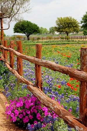 Country Fences, Building A Fence, Have Inspiration, Country Scenes, Wooden Fence, Texas Hill Country, Country Farm, Hill Country, Country Life