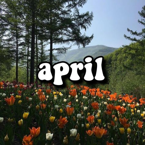 Monthly Playlist, Cover Playlist, Playlist Pics, Ipad Things, April Month, Spotify Playlist Covers, New Month Quotes, Dump Photos, Month Quotes