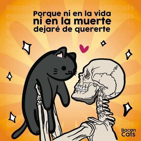 Foto Tips, Gradient Design, Type S, Self Design, Design Fabric, Swimsuit Fashion, Animal Quotes, Beautiful Cats, Dia De Muertos