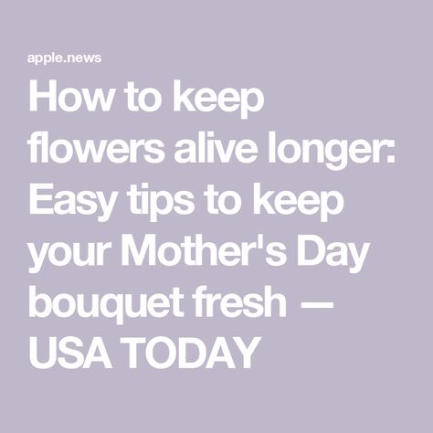 How to keep flowers alive longer: Easy tips to keep your Mother's Day bouquet fresh — USA TODAY Flowers Last Longer, Mother's Day Bouquet, Usa Today, Mother's Day, Mothers Day, Flowers