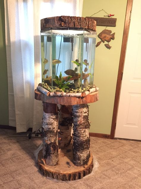 Rustic Fish Tank, Fish Tank Stands Diy Wood, Hexagon Fish Tank Ideas, Farmhouse Fish Tank, Fish Tank Stand Ideas Diy, Turtle Tank Setup Ideas, Hexagon Fish Tank, Turtle Tank Ideas, Tank Setup Ideas