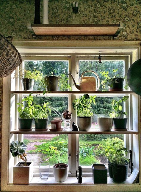 If You’ve Been Looking for a Sign to Start a Kitchen Window Herb Garden, This Viral TikTok Is It Garden Window Ideas, Kitchen Window Herb Garden, Herb Garden Window, Herb Window, Kitchen Garden Window, Window Herb Garden, Cottagecore Kitchen, Growing Herbs Indoors, Plant Window