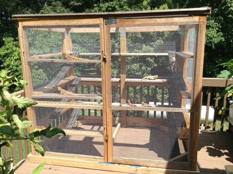 Outdoor Enclosure and photos credited to Karen Johnston as posted on the Facebook page of Carolina Designer Dragons, 2013. Photo 1/2 Bearded Dragon Terrarium, Bearded Dragon Enclosure, Bearded Dragon Cage, Outdoor Enclosure, Bearded Dragon Habitat, Bearded Dragon Diet, Baby Bearded Dragon, Reptile Care, Tortoise Habitat