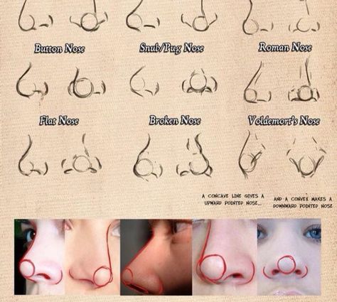 Nose Broken Nose, Children Sketch, Art Advice, Nose Drawing, Human Anatomy Art, Digital Painting Tutorials, Figure Drawing Reference, Anatomy Art, Art Poses