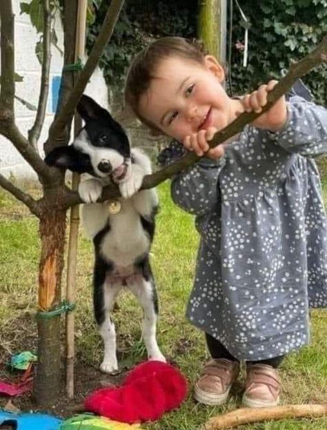 Dogs And Kids, Beautiful Picture, Cute Animal Pictures, Dog Photography, Big Dogs, 귀여운 동물, Animals Friends, Animals For Kids, Animals Beautiful