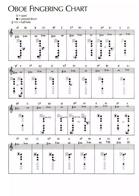 Trumpet Fingering Chart, Oboe Music, Oboe Reed, Music Theory Piano, English Horn, Trumpet Sheet Music, Trumpet Music, Bass Clarinet, Drum Lessons