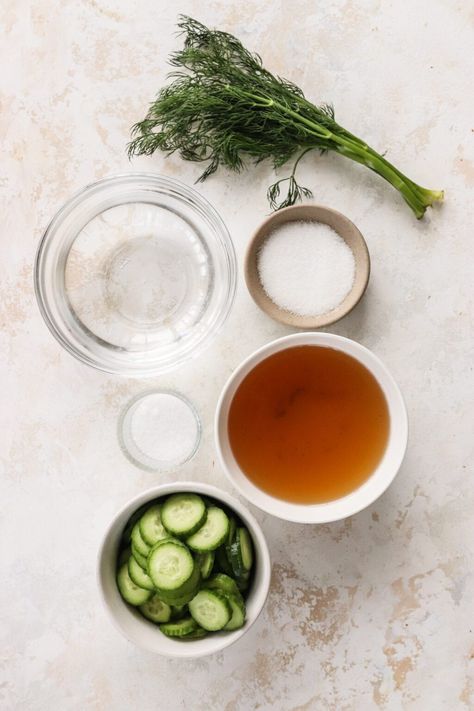 How to Make Apple Cider Vinegar Cucumber Pickles with Dill Apple Cider Vinegar Pickles, Apple Cider Vinager, Pickled Apples, Make Apple Cider, Cucumber Pickles, Make Apple Cider Vinegar, Vinegar Cucumbers, Dill Pickle Recipe, Cucumber Canning