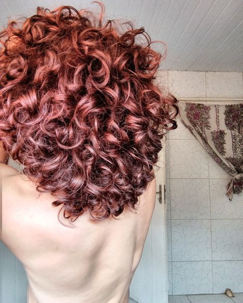 Red Dyed Curly Hair Men, Red Curly Hair Men, Curly Hair Cut, Long Curly Hair Men, Perfect Curly Hair, Mens Hairstyles Curly, Curly Haircut, Dyed Curly Hair, Men Haircut Curly Hair