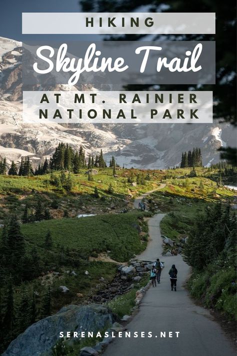 Pinterest Pin: Hiking Skyline Trail at Mt. Rainier National Park Skyline Loop Mount Rainier, Skyline Loop Trail, Mt Rainier Hikes, Skyline Trail Mt Rainier, Pnw Vacation, Seattle Hiking, Washington Hiking, Mt Rainer, Washington Trip